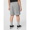 Nike Boys’ Dri-FIT Heathered Shorts(Smoke Grey Heather)