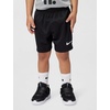 Nike Boys’ Dri-FIT Just Do It T-Shirt and Mesh Shorts 2-Piece Outfit Set(Dark Smoke Grey/Black)