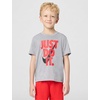 Nike Boys’ Dri-FIT Just Do It T-Shirt and Mesh Shorts 2-Piece Outfit Set(Light Smoke Grey/Crimson)