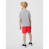 Nike Boys’ Dri-FIT Just Do It T-Shirt and Mesh Shorts 2-Piece Outfit Set(Light Smoke Grey/Crimson)