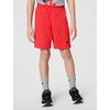 Nike Boys’ Dri-FIT Just Do It T-Shirt and Mesh Shorts 2-Piece Outfit Set(Light Smoke Grey/Crimson)