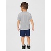 Nike Boys’ Dri-FIT Just Do It T-Shirt and Mesh Shorts 2-Piece Outfit Set(Light Smoke Grey/Midnight Navy)