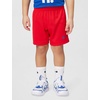 Nike Boys’ Dri-FIT Just Do It T-Shirt and Mesh Shorts 2-Piece Outfit Set(University Red/Black)