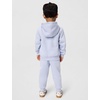 Nike Kids’ Sportswear Club Fleece Pullover Hoodie and Joggers 2-Piece Outfit Set (Large Swoosh Logo)(Ghost)