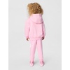 Nike Kids’ Sportswear Club Fleece Pullover Hoodie and Joggers 2-Piece Outfit Set (Large Swoosh Logo)(Medium Soft Pink)
