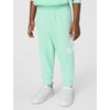 Nike Kids’ Sportswear Club Fleece Pullover Hoodie and Joggers 2-Piece Outfit Set (Large Swoosh Logo)(Mint Foam)
