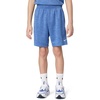 Nike Boys’ Dri-FIT Heathered Shorts(Game Royal Heather)