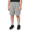 Nike Boys’ Dri-FIT Heathered Shorts(Smoke Grey Heather)