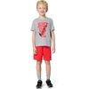 Nike Boys’ Dri-FIT Just Do It T-Shirt and Mesh Shorts 2-Piece Outfit Set(Light Smoke Grey/Crimson)