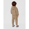 Nike Baby Sportswear Club Fleece Pullover Hoodie and Joggers 2-Piece Outfit Set (Large Swoosh Logo)(Hemp)