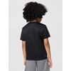 Nike Boys’ Legend Dri-FIT T-Shirt(Black)