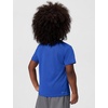 Nike Boys’ Legend Dri-FIT T-Shirt(Game Royal)