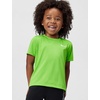 Nike Boys’ Legend Dri-FIT T-Shirt(Mean Green)