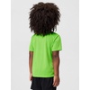 Nike Boys’ Legend Dri-FIT T-Shirt(Mean Green)