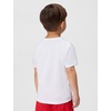 Nike Boys’ Legend Dri-FIT T-Shirt(White)