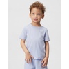 Nike Boys’ Sportswear Club T-Shirt and Shorts 2-Piece Outfit Set(Ghost)