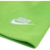 Nike Boys’ Sportswear Club T-Shirt and Shorts 2-Piece Outfit Set(Mean Green)