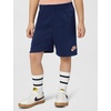 Nike Boys’ Striped Sportswear Club T-Shirt and Shorts 2-Piece Outfit Set(Apricot)