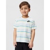 Nike Boys’ Striped Sportswear Club T-Shirt and Shorts 2-Piece Outfit Set(Glacier)