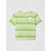 Nike Boys’ Striped Sportswear Club T-Shirt and Shorts 2-Piece Outfit Set(Light Liquid Lime)