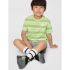 Nike Boys’ Striped Sportswear Club T-Shirt and Shorts 2-Piece Outfit Set(Light Liquid Lime)