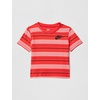 Nike Boys’ Striped Sportswear Club T-Shirt and Shorts 2-Piece Outfit Set(Team Crimson)
