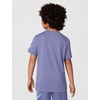 Nike Kids’ Sportswear Club T-Shirt (Large Swoosh Logo)(World Indigo)