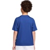 Nike Unisex Big Kids’ Multi Dri-FIT Short-Sleeve Training Top (Large Swoosh Logo) – Boys and Girls(Game Royal/White)